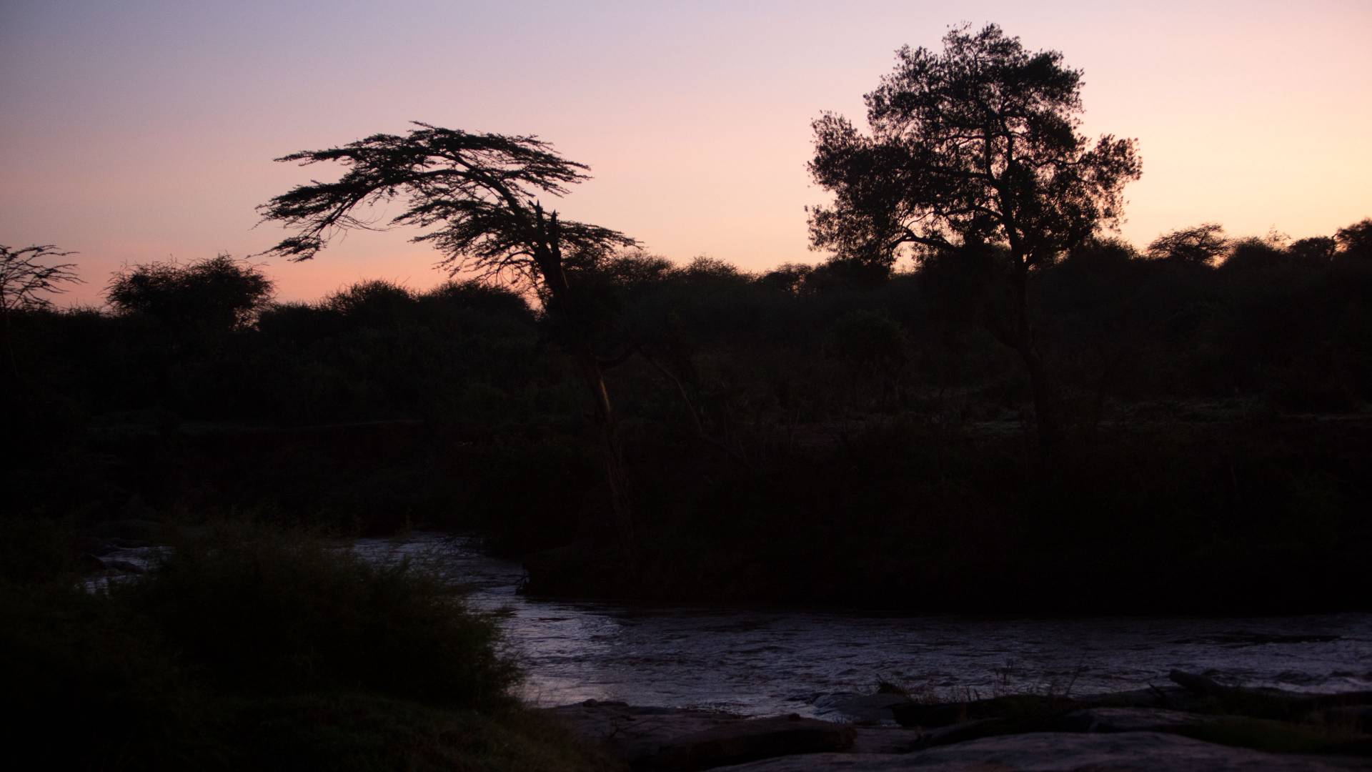 Sunrise over river at Mpala