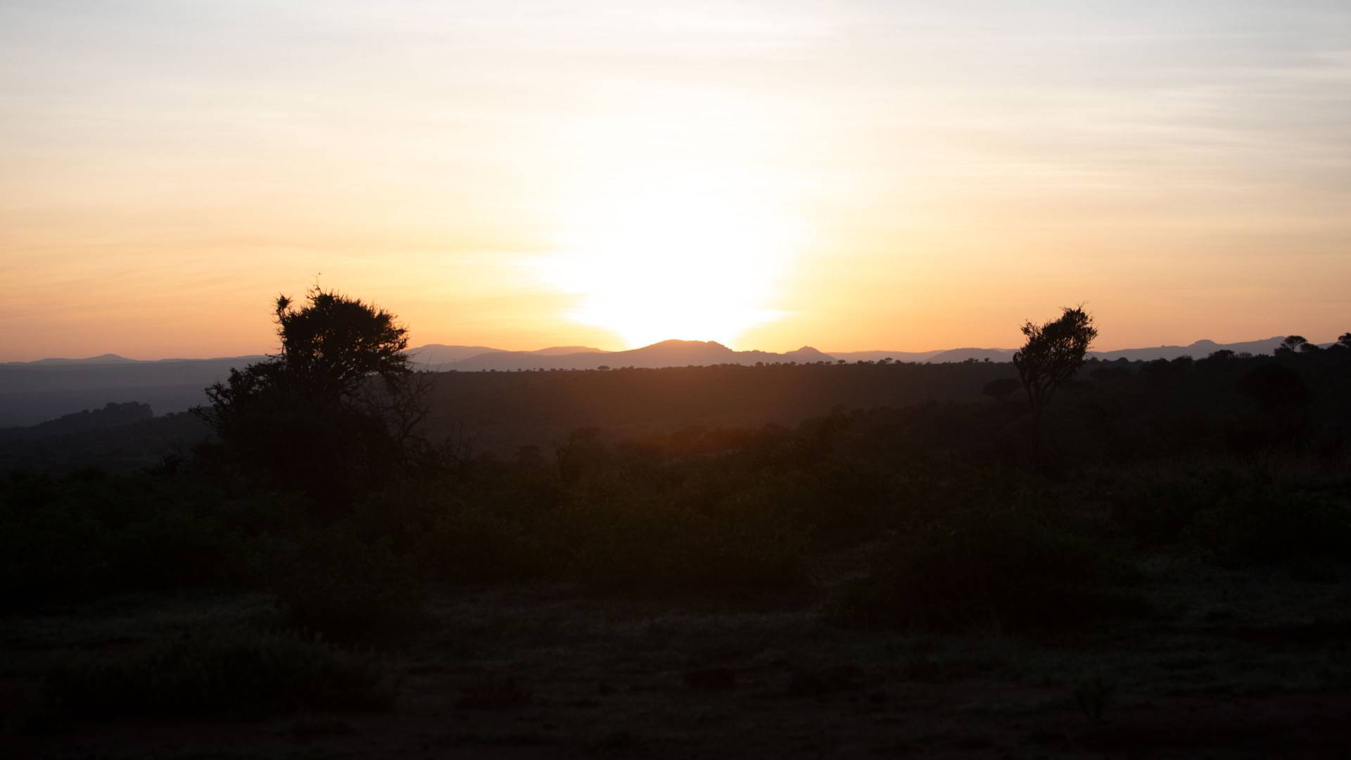 Sunrise at Mpala