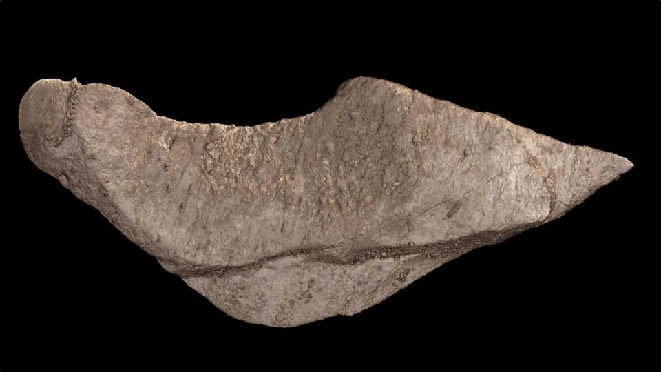 a tool-shaped rock from a cave at the Rising Star site