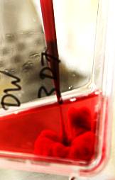 Mixing red blood cells