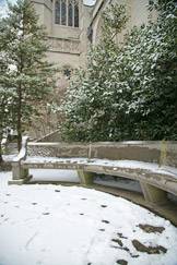 curved bench in snow