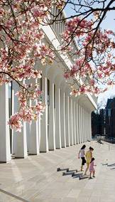 Woodrow Wilson School with Cherry Blossoms