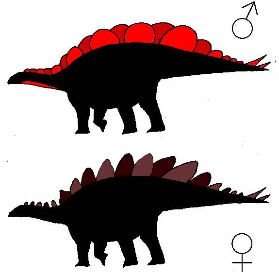Figure 4 Stegosaurus