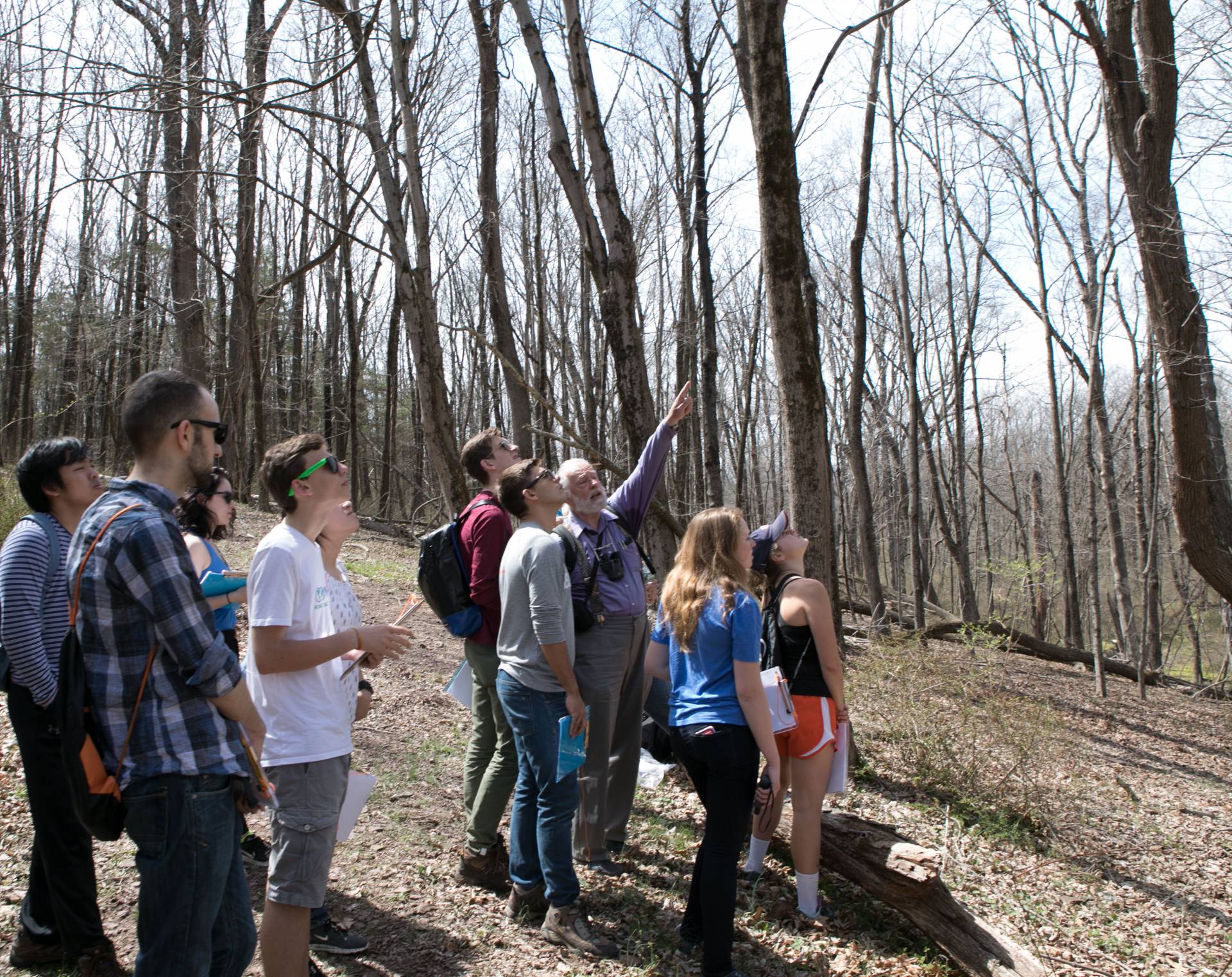 Students in forest looking at trees with Professor Horn
