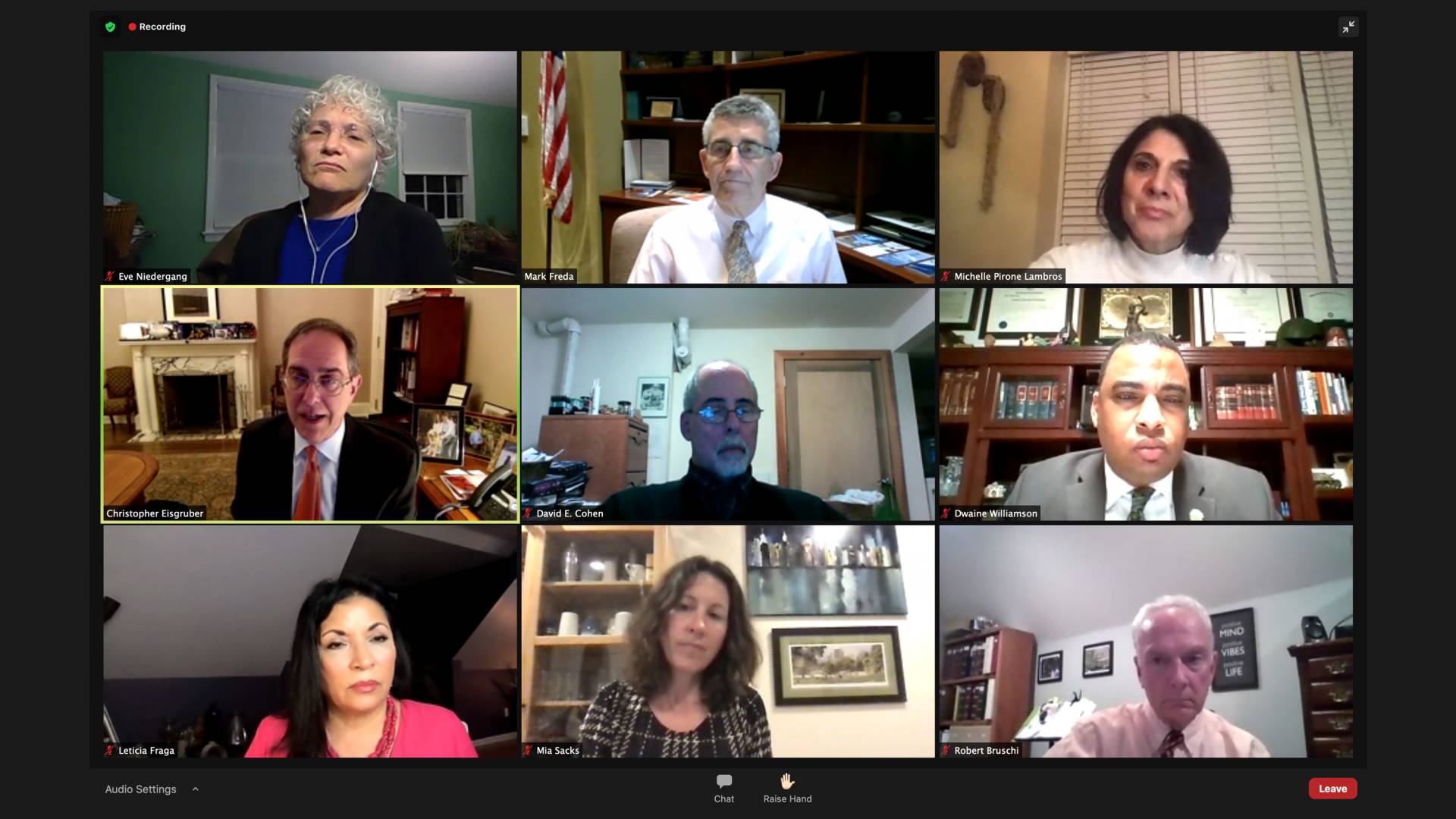 screenshot of attendees at Princeton Town Meeting