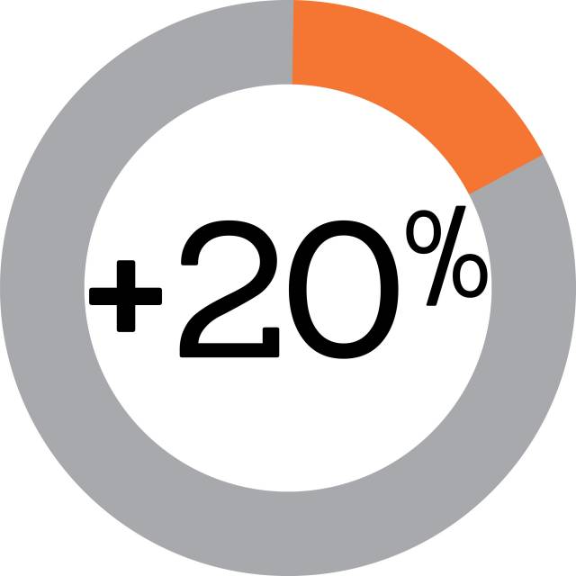 +20% and pie chart