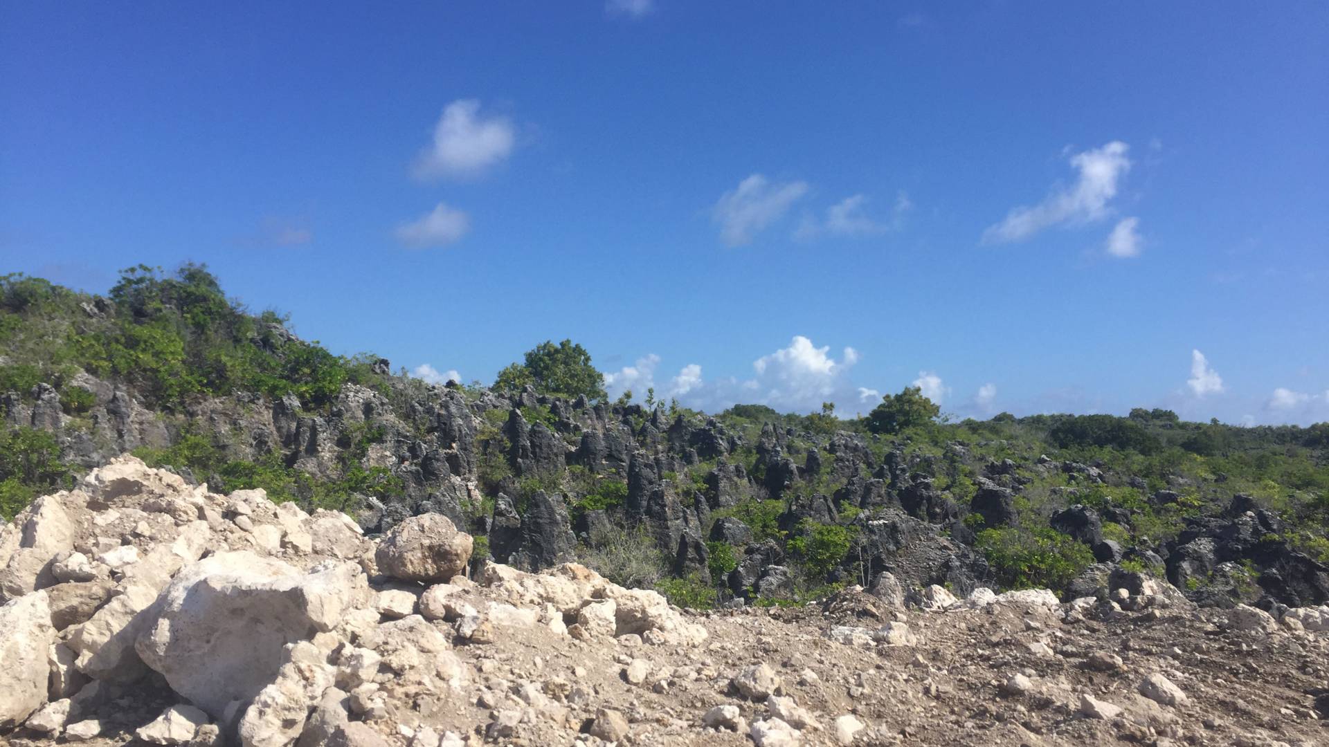 Rocky landscape of Nauru