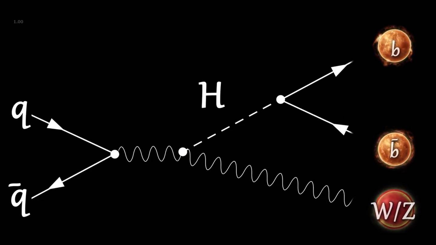 A diagram showing how two protons (q)  smash together to make a W or Z boson (W/Z) and a Higgs that then decays to two bottom quarks