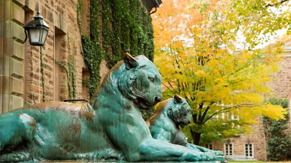 Bronze tigers outside Nassau Hall