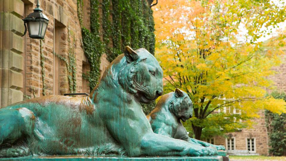 Tigers in front of Nassau Hall