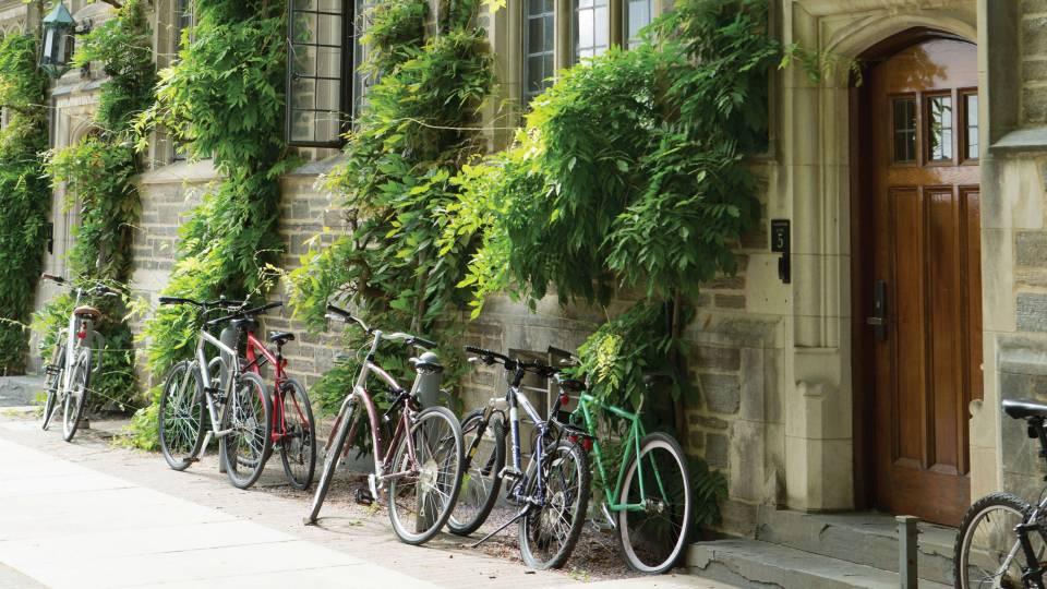 Bikes along a wall with ivy