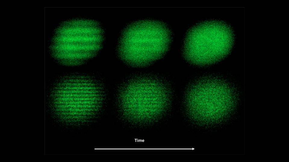 Green patterns of density waves through cold atoms