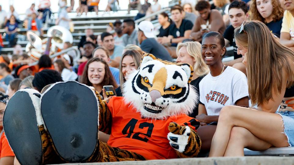 Tiger mascot hangs out with football fans