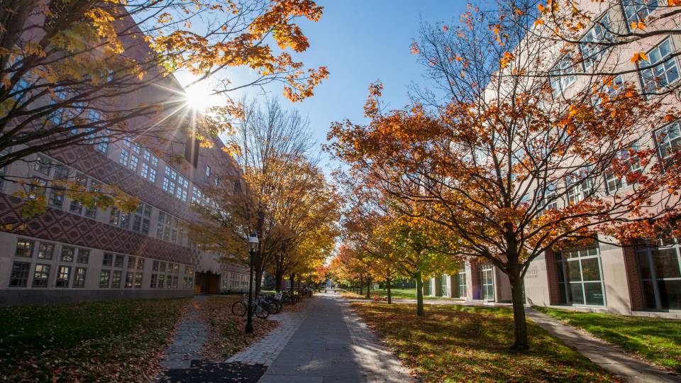 sunlight glints on autumnal campus scene
