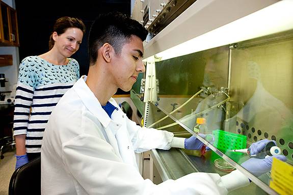 Summer Undergrad Research Miramontes