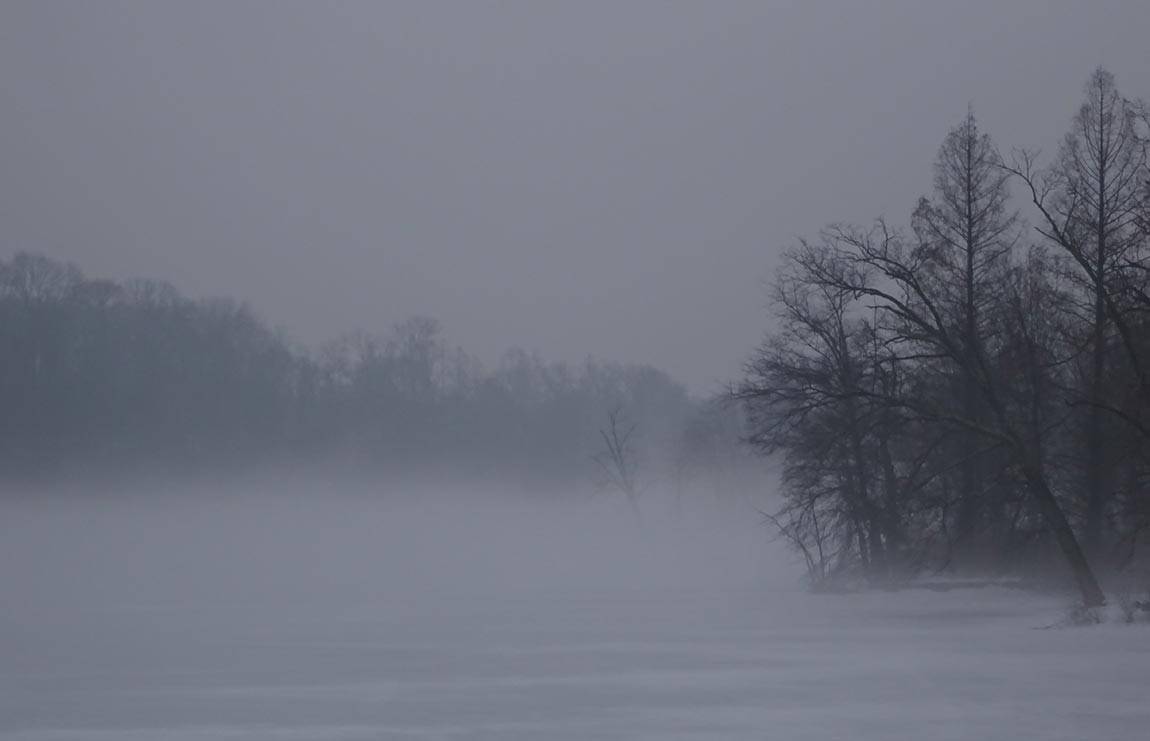 Lake Carnegie mist in winter