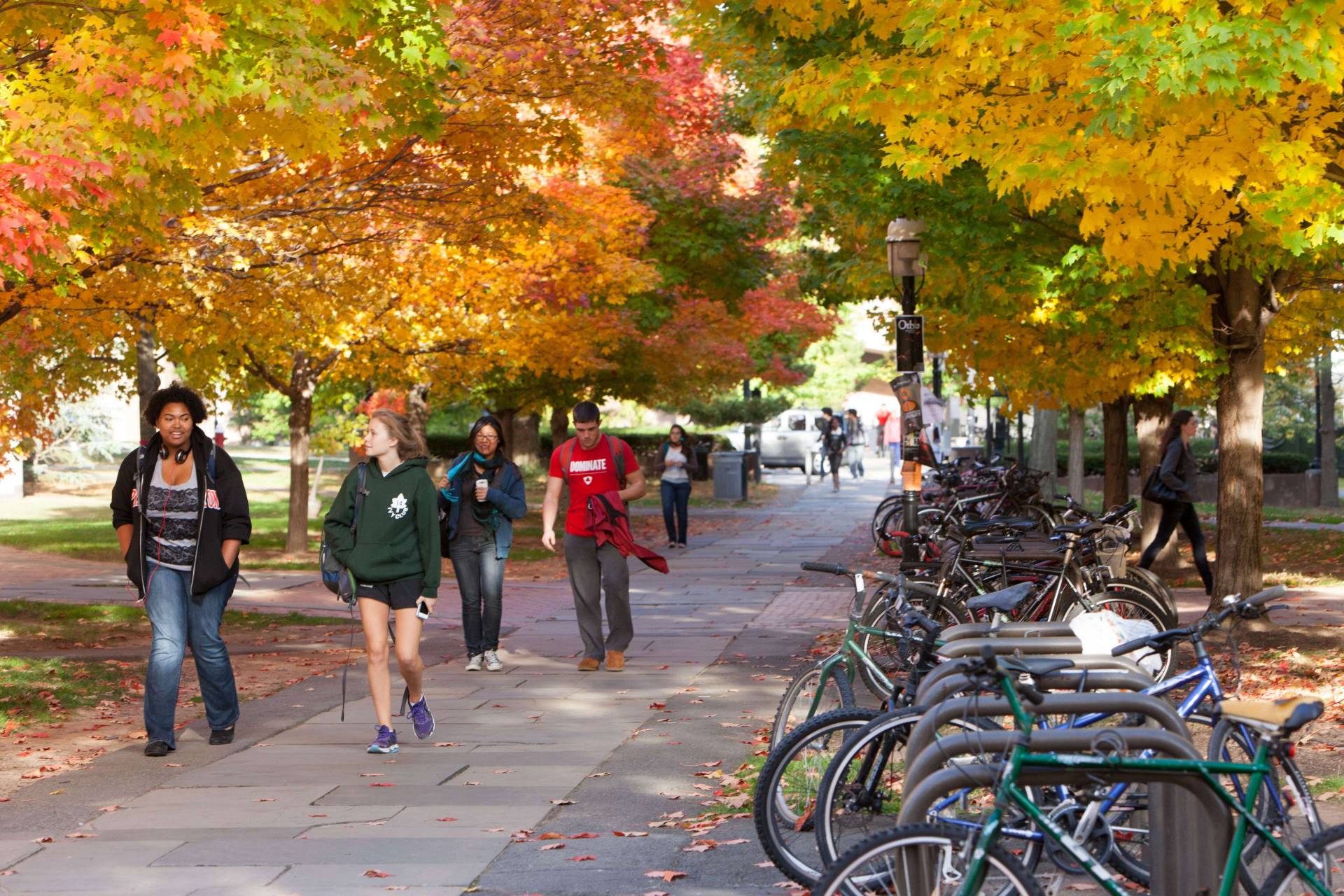 Students walking under fall leaves