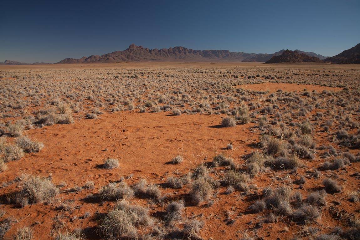 Close up of fairy circles in Namibia