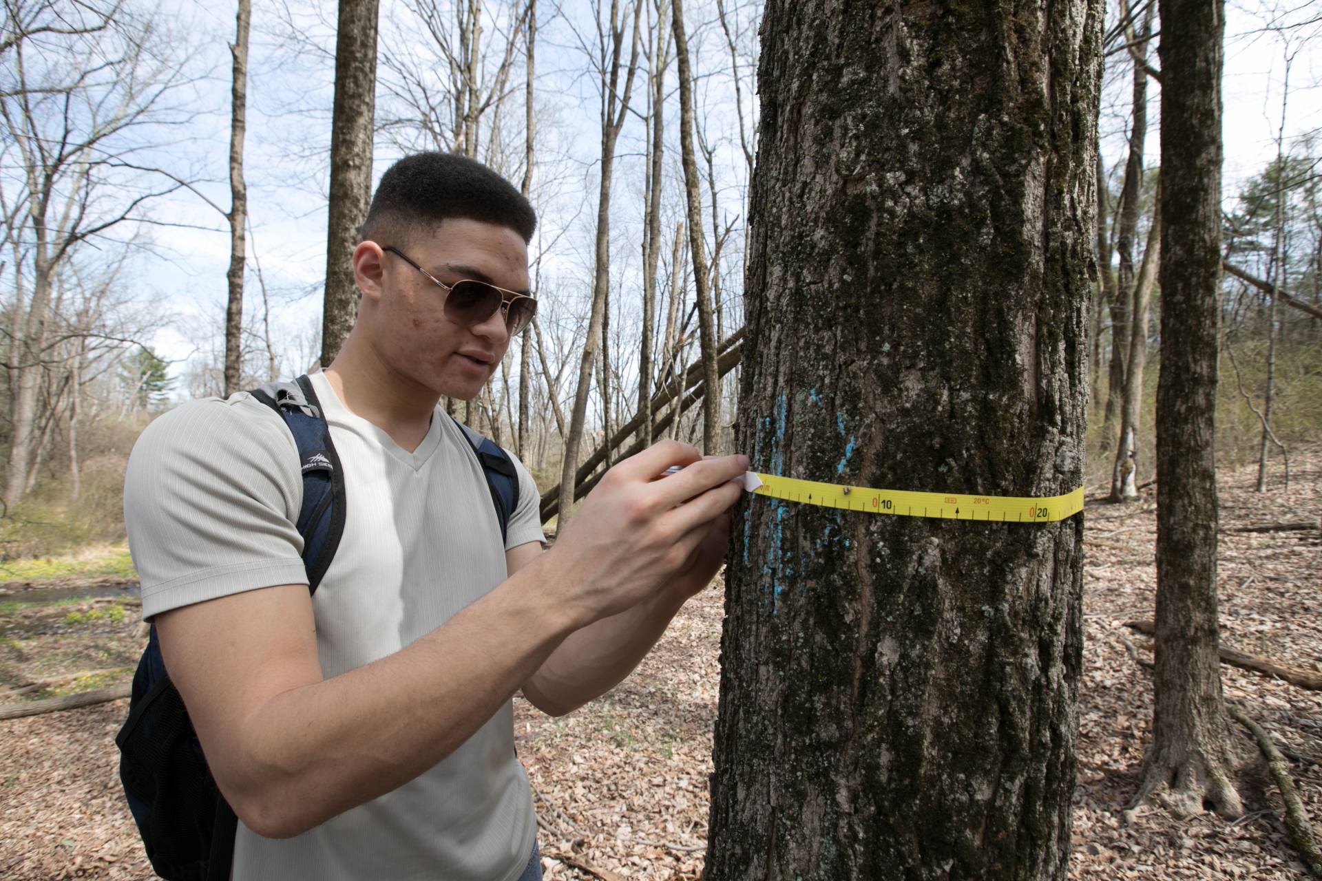 Matt Goodwin measuring trunk of tree