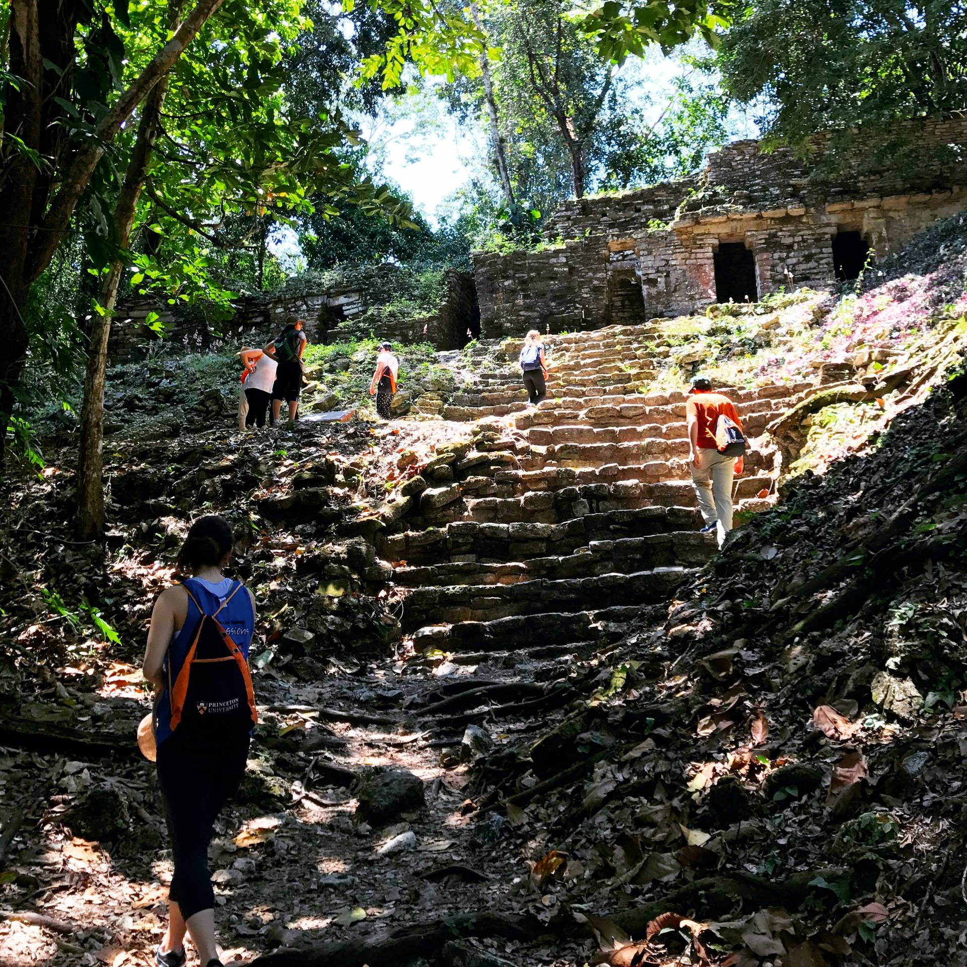Students ascending the staircase from the main plaza at Yaxchilan to Temple 33