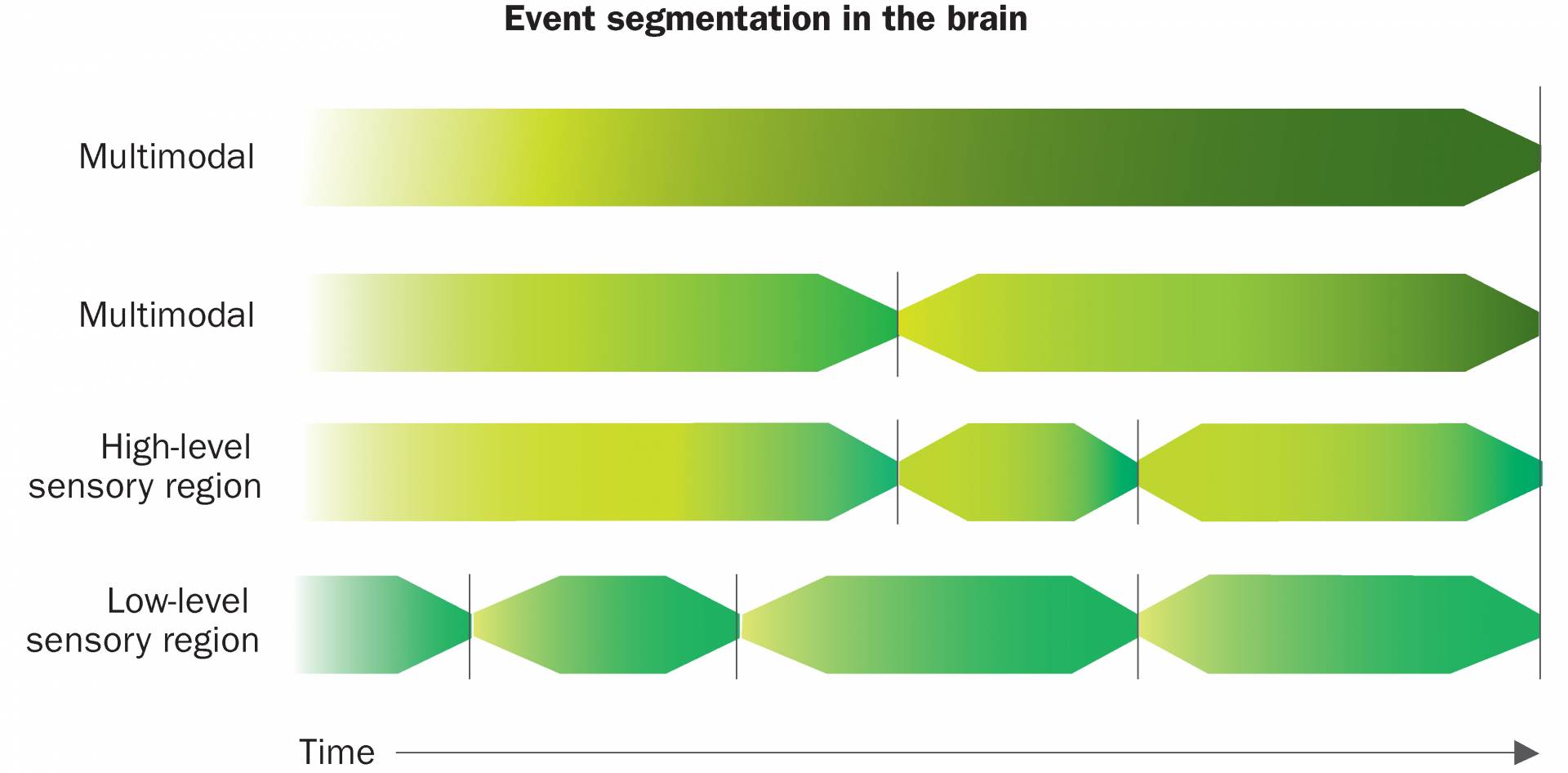 Event segmentation in the brain