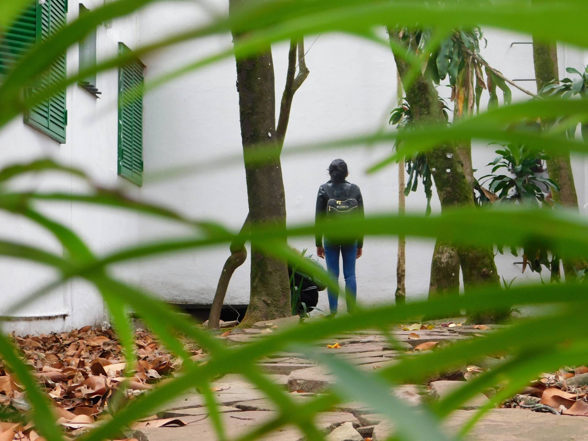 Student looking at house amid Brazilian trees