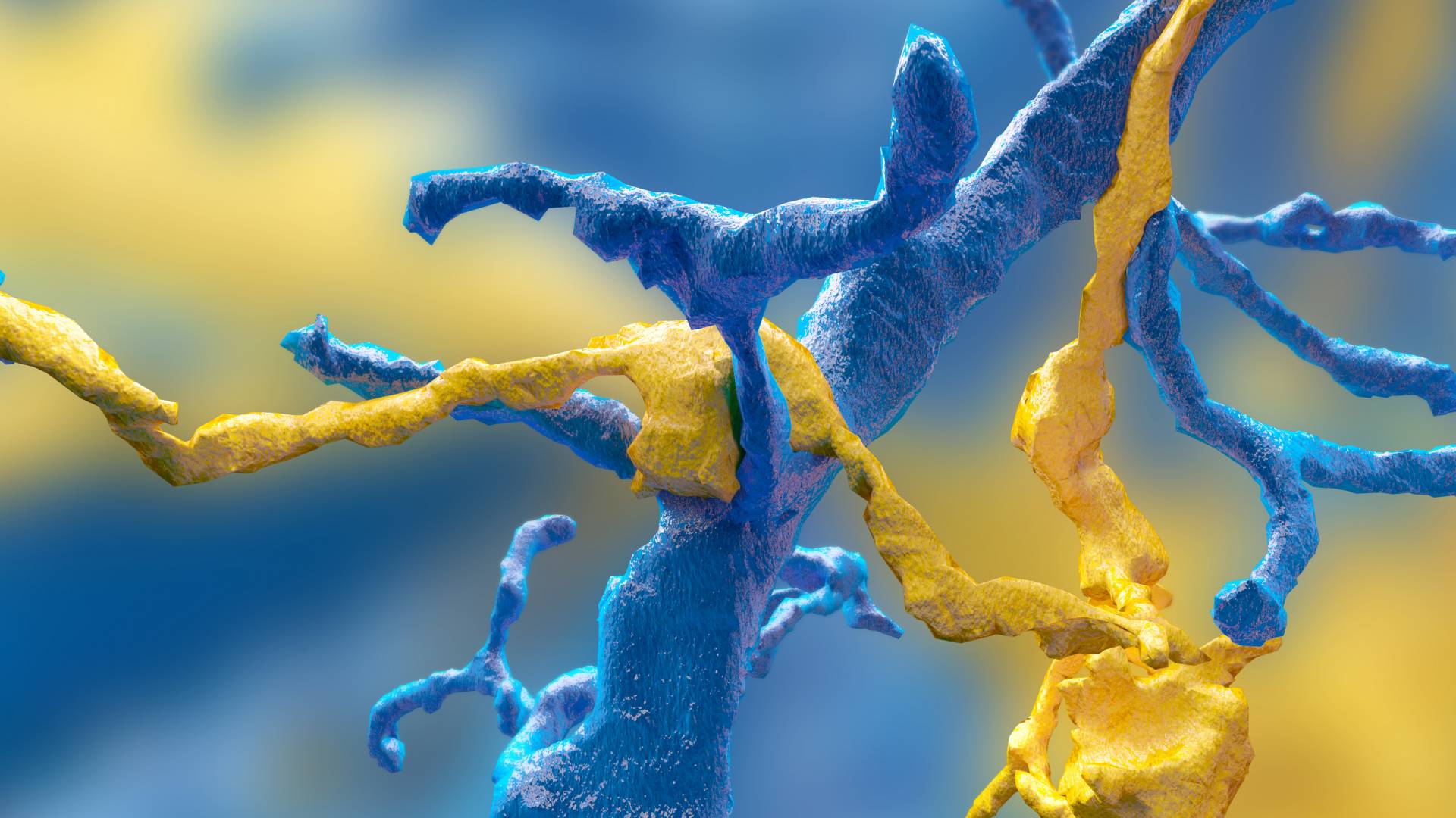 Synapse between a ganglion neuron (blue) and a starburst amacrine cell (yellow) mapped by Eyewire gamers.