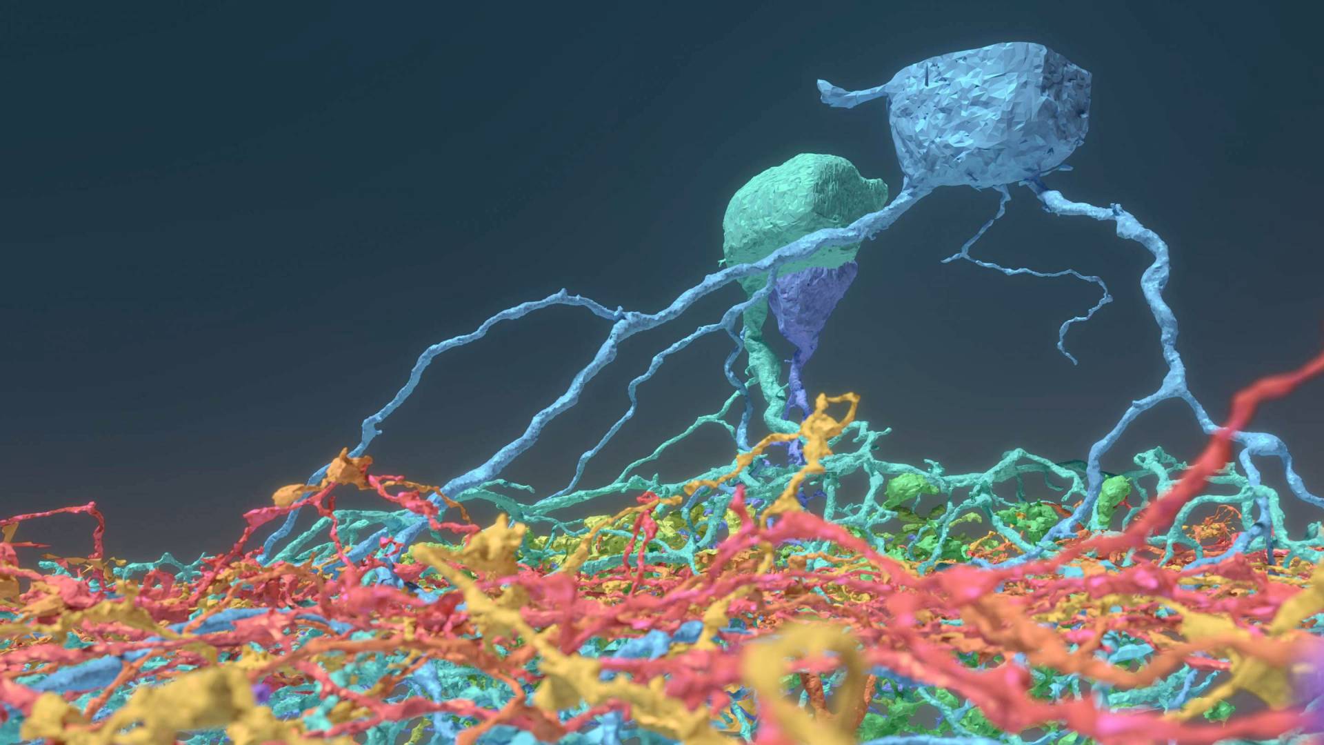 Model of neurons