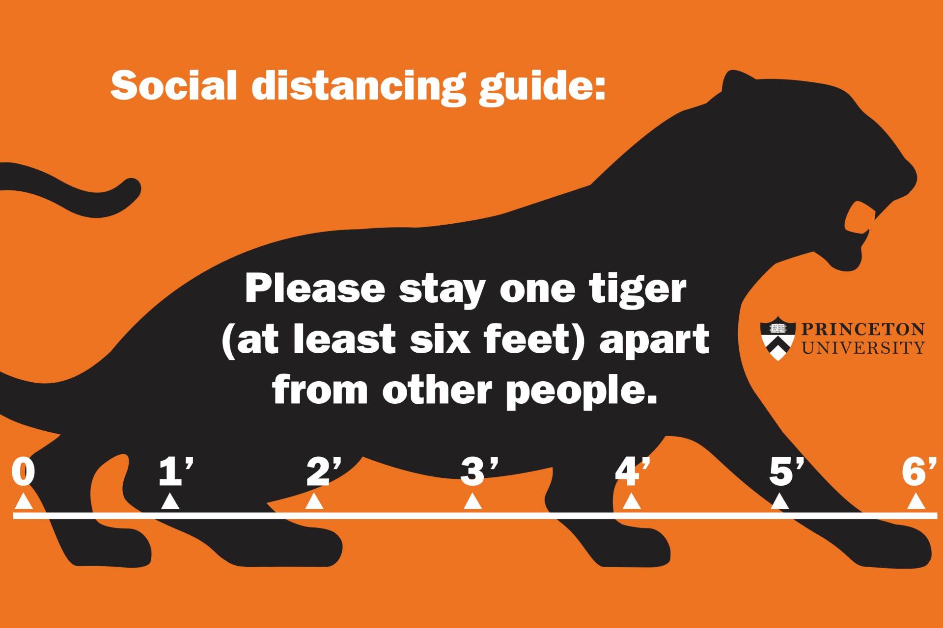 "Social distancing guide: Please stay one tiger (at least 6 feet) apart from other people"