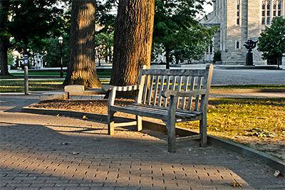 Early Morning bench