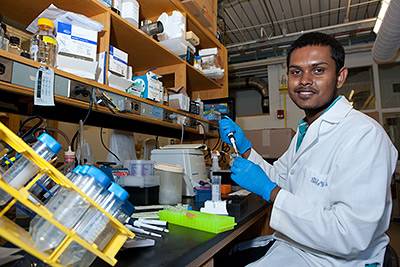 Summer Undergrad Research Saffie