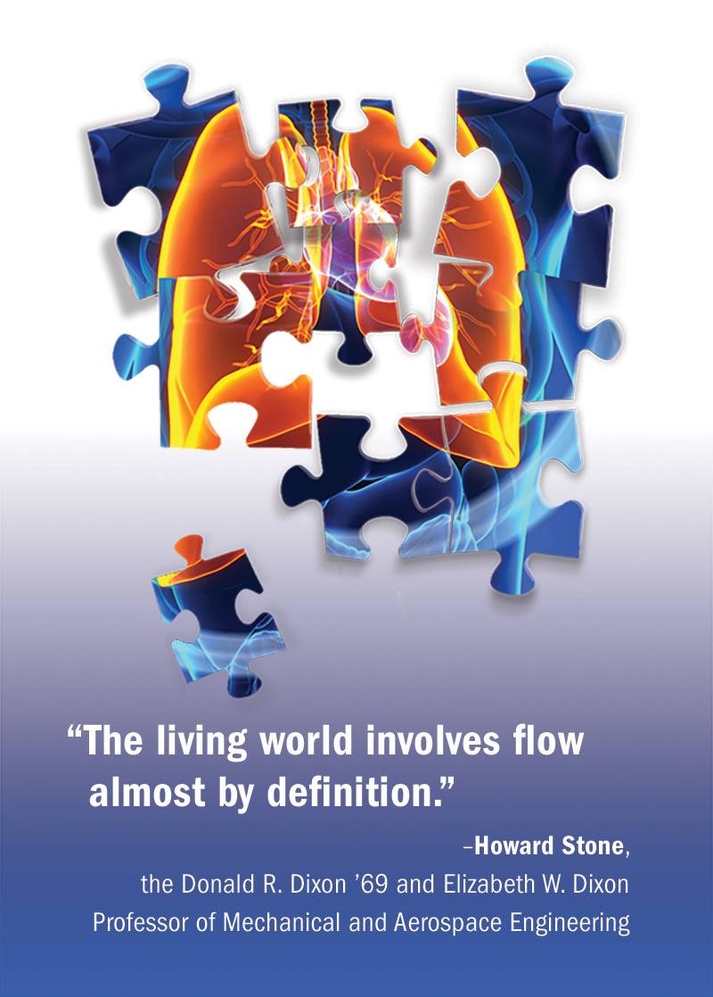 “The living world involves flow almost by definition.”  –Howard Stone,  the Donald R. Dixon ’69 and Elizabeth W. Dixon Professor of Mechanical and Aerospace Engineering 