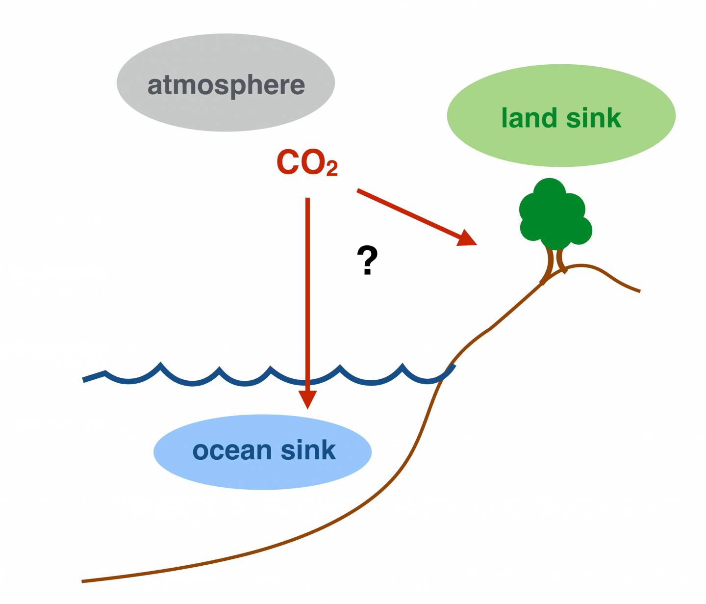 Schematic of ocean heat cycle