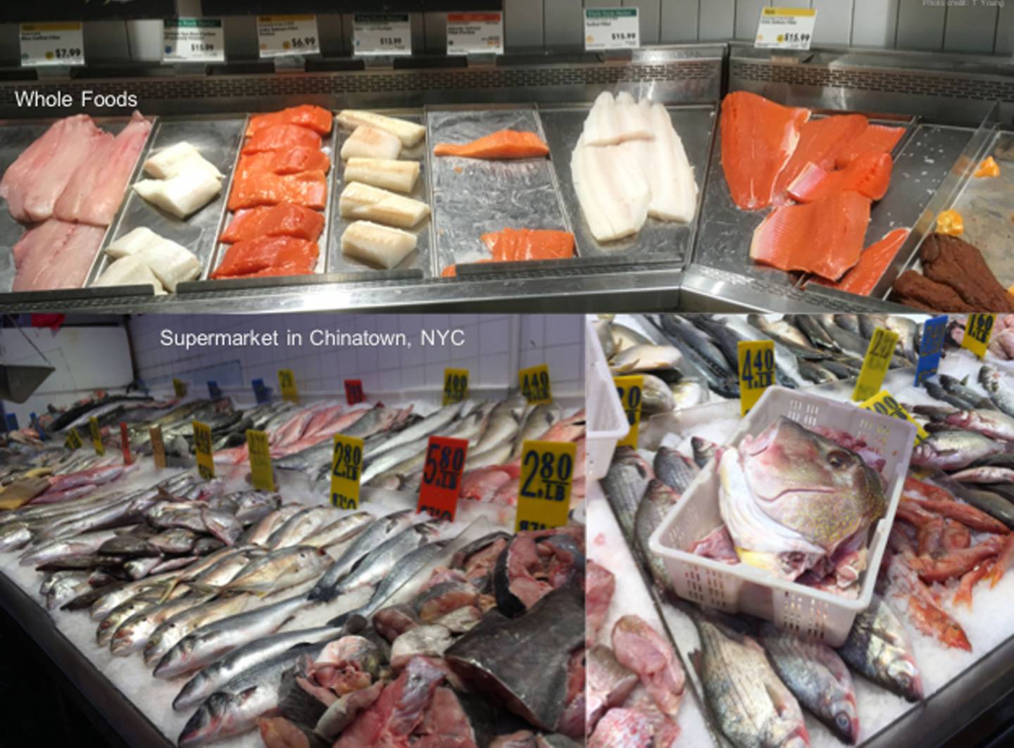 Photos showing fish on sale in whole foods and a chinatown fish market