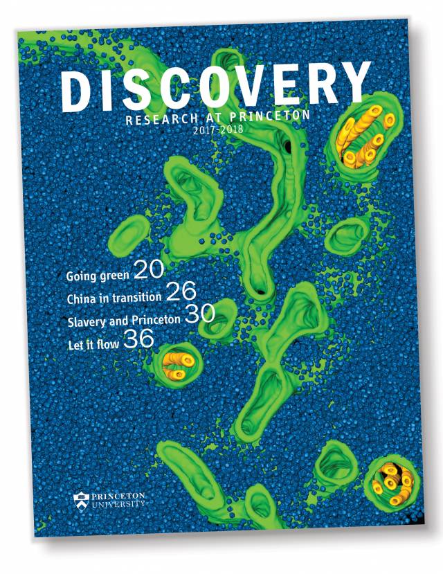 Cover of Discovery 2017 publication