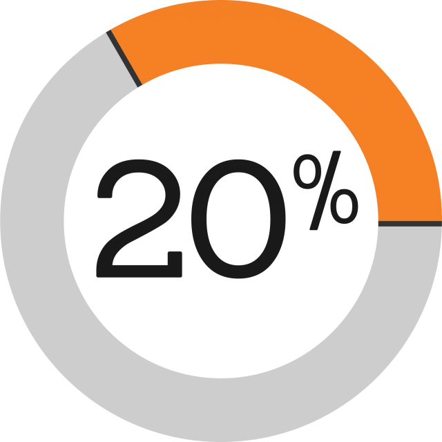 Pie graph showing 20%