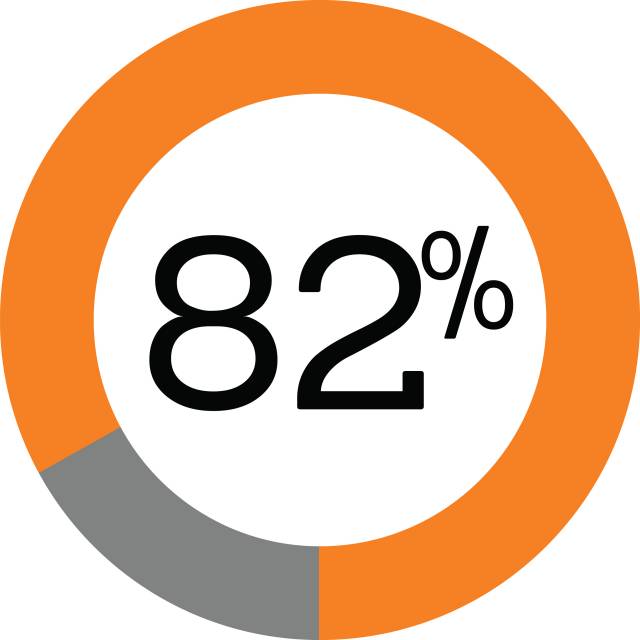Pie graph showing 82%