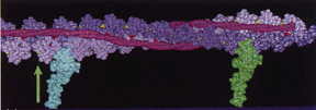 Markov process