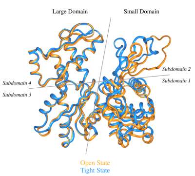 Domain Motions