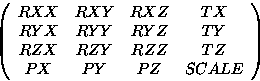 \begin{displaymath}
\left( \begin{array}
{cccc}
RXX & RXY & RXZ & TX\\ RYX & R...
...ZX & RZY & RZZ & TZ\\ PX & PY & PZ & SCALE\end{array} \right) \end{displaymath}