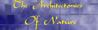 The Architectonics of
Nature