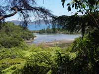 Abel Tasman - view from the trail