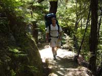 Rich hikes in Abel Tasman