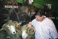 Rich with sheep