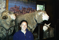Mindy with sheep
