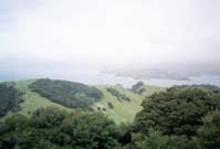 Urupukapuka Island
