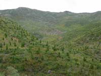 Driving from Auckland to Bayley's Beach