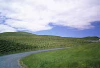 Driving north from Christchurch