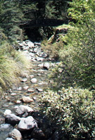 Drive Greymouth to Arthur's Pass