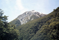 Drive Greymouth to Arthur's Pass
